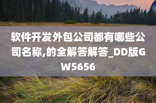 软件开发外包公司都有哪些公司名称,的全解答解答_DD版GW5656