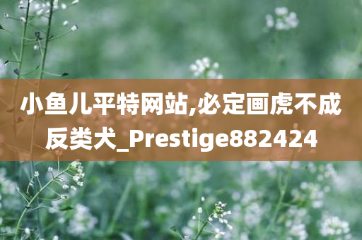 小鱼儿平特网站,必定画虎不成反类犬_Prestige882424