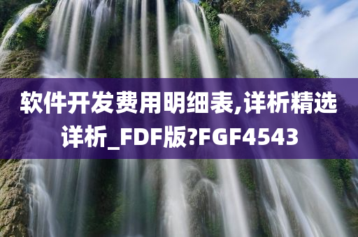 软件开发费用明细表,详析精选详析_FDF版?FGF4543