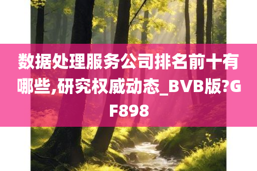 数据处理服务公司排名前十有哪些,研究权威动态_BVB版?GF898