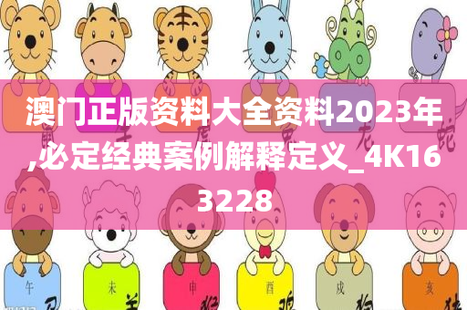 澳门正版资料大全资料2023年,必定经典案例解释定义_4K163228