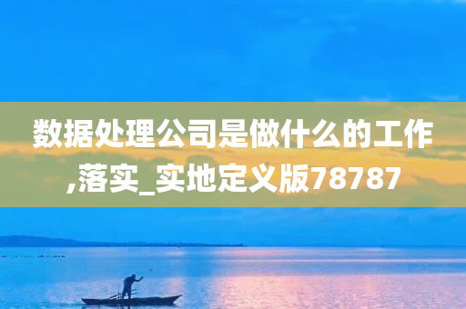 数据处理公司是做什么的工作,落实_实地定义版78787