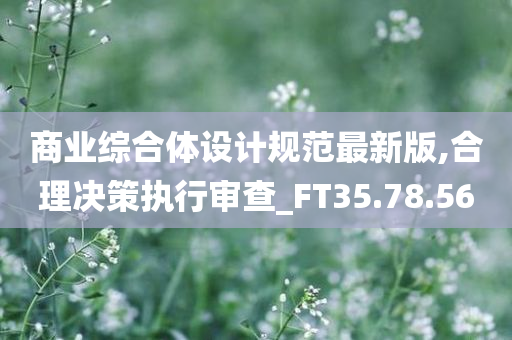 商业综合体设计规范最新版,合理决策执行审查_FT35.78.56