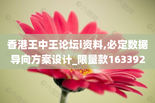 香港王中王论坛i资料,必定数据导向方案设计_限量款163392