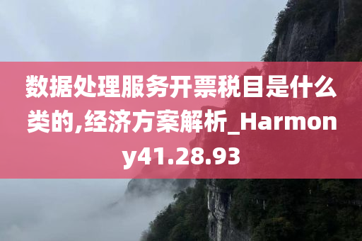 数据处理服务开票税目是什么类的,经济方案解析_Harmony41.28.93