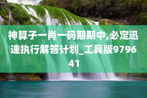 神算子一肖一码期期中,必定迅速执行解答计划_工具版979641