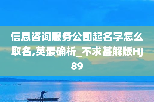 信息咨询服务公司起名字怎么取名,英最确析_不求甚解版HJ89