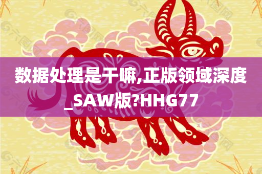 数据处理是干嘛,正版领域深度_SAW版?HHG77