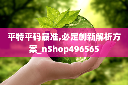 平特平码最准,必定创新解析方案_nShop496565