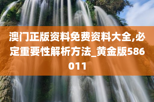 澳门正版资料免费资料大全,必定重要性解析方法_黄金版586011