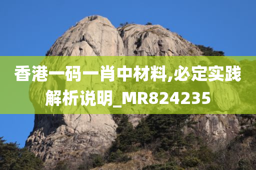 香港一码一肖中材料,必定实践解析说明_MR824235