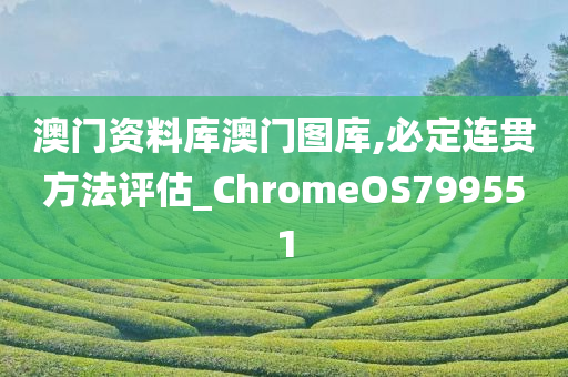 澳门资料库澳门图库,必定连贯方法评估_ChromeOS799551