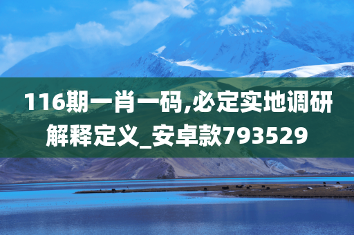 116期一肖一码,必定实地调研解释定义_安卓款793529