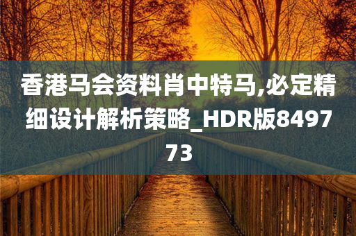 香港马会资料肖中特马,必定精细设计解析策略_HDR版849773