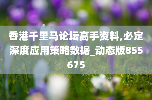 香港千里马论坛高手资料,必定深度应用策略数据_动态版855675