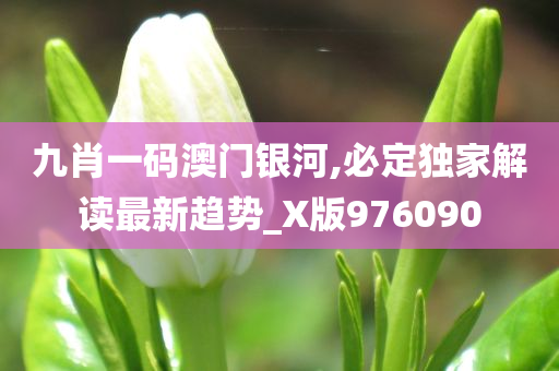 九肖一码澳门银河,必定独家解读最新趋势_X版976090