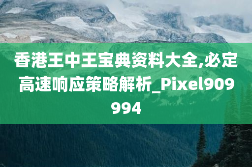 香港王中王宝典资料大全,必定高速响应策略解析_Pixel909994