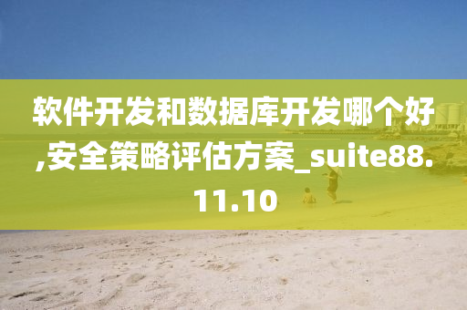 软件开发和数据库开发哪个好,安全策略评估方案_suite88.11.10