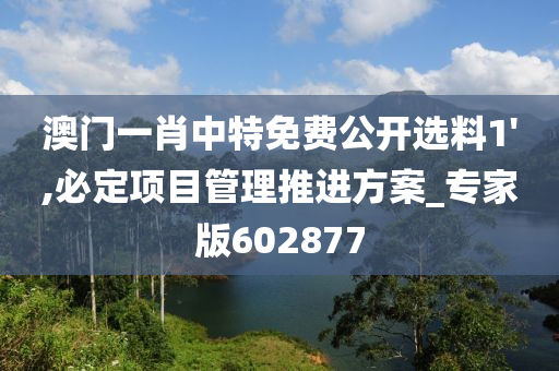 澳门一肖中特免费公开选料1',必定项目管理推进方案_专家版602877