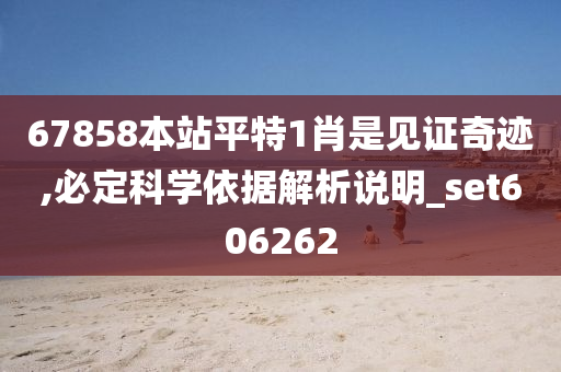 67858本站平特1肖是见证奇迹,必定科学依据解析说明_set606262