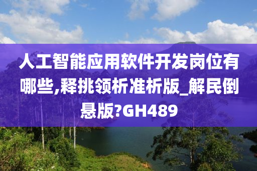 人工智能应用软件开发岗位有哪些,释挑领析准析版_解民倒悬版?GH489