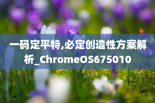 一码定平特,必定创造性方案解析_ChromeOS675010