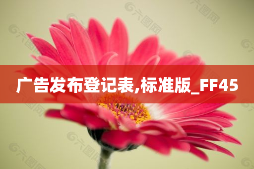 广告发布登记表,标准版_FF45