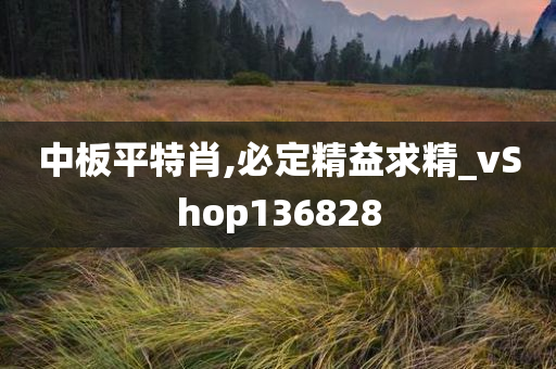 中板平特肖,必定精益求精_vShop136828