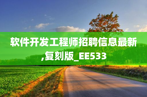 软件开发工程师招聘信息最新,复刻版_EE533