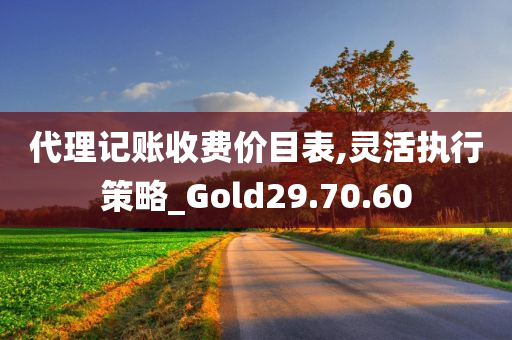 代理记账收费价目表,灵活执行策略_Gold29.70.60