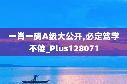 一肖一码A级大公开,必定笃学不倦_Plus128071