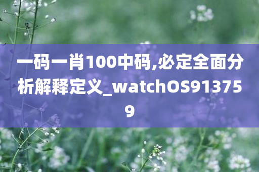 一码一肖100中码,必定全面分析解释定义_watchOS913759