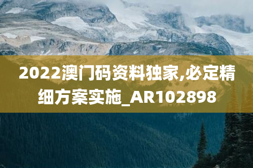 2022澳门码资料独家,必定精细方案实施_AR102898