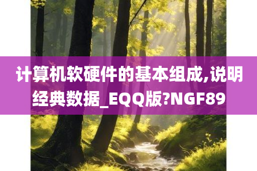 计算机软硬件的基本组成,说明经典数据_EQQ版?NGF89