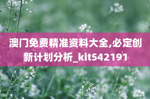 澳门免费精准资料大全,必定创新计划分析_kit542191