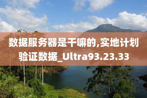 数据服务器是干嘛的,实地计划验证数据_Ultra93.23.33