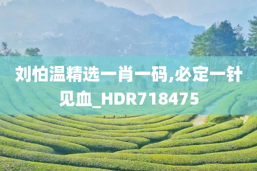 刘怕温精选一肖一码,必定一针见血_HDR718475