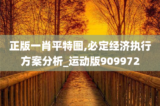 正版一肖平特图,必定经济执行方案分析_运动版909972