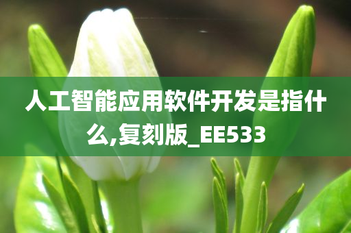 人工智能应用软件开发是指什么,复刻版_EE533