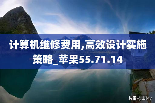 计算机维修费用,高效设计实施策略_苹果55.71.14