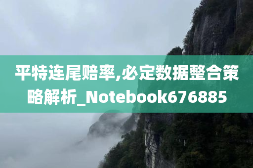 平特连尾赔率,必定数据整合策略解析_Notebook676885