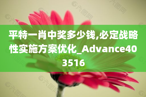 平特一肖中奖多少钱,必定战略性实施方案优化_Advance403516