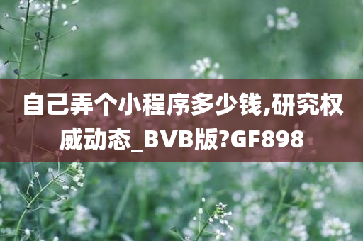 自己弄个小程序多少钱,研究权威动态_BVB版?GF898