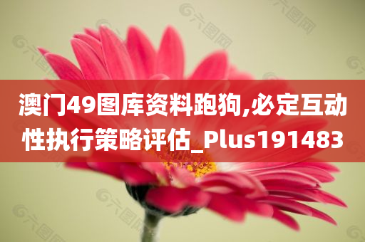 澳门49图库资料跑狗,必定互动性执行策略评估_Plus191483