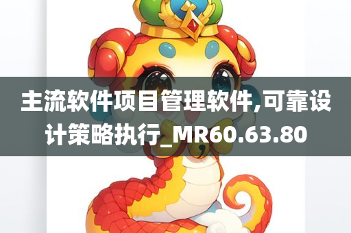 主流软件项目管理软件,可靠设计策略执行_MR60.63.80