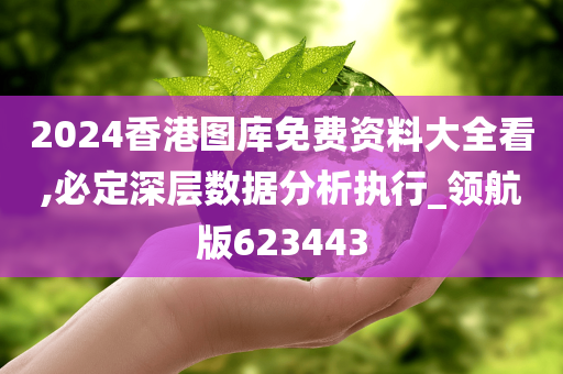 2024香港图库免费资料大全看,必定深层数据分析执行_领航版623443