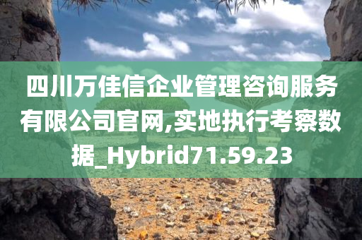 四川万佳信企业管理咨询服务有限公司官网,实地执行考察数据_Hybrid71.59.23