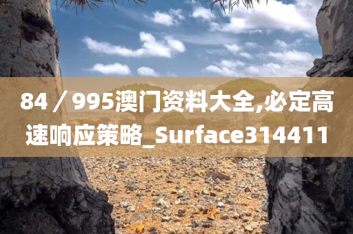 84／995澳门资料大全,必定高速响应策略_Surface314411