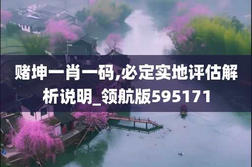 赌坤一肖一码,必定实地评估解析说明_领航版595171