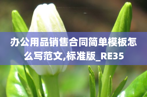 办公用品销售合同简单模板怎么写范文,标准版_RE35